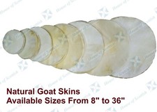 NATURAL GOAT SKINS DRUM HEADS